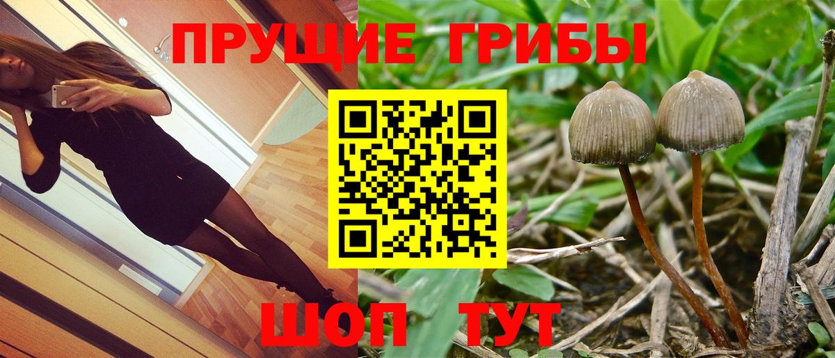Псилоцибиновые грибы MAGIC MUSHROOMS  Вход с VPN  Мирный 